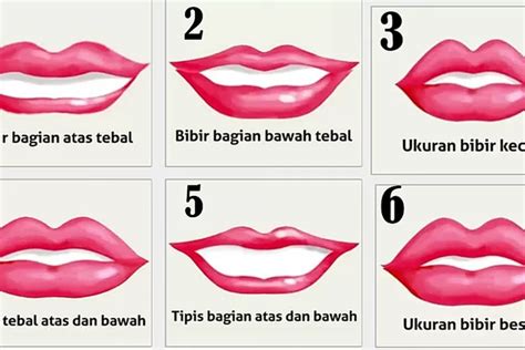 memek tante|9 Bentuk Vagina Dilihat dari Posisi Labia (Bibir Vagina)